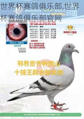 世界杯赛鸽俱乐部,世界杯赛鸽俱乐部官网