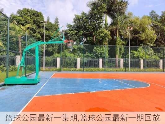 篮球公园最新一集期,篮球公园最新一期回放
