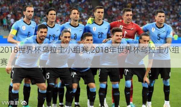 2018世界杯乌拉圭小组赛,2018年世界杯乌拉圭小组赛