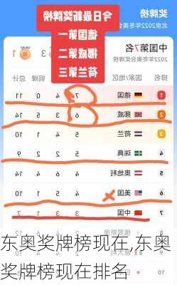东奥奖牌榜现在,东奥奖牌榜现在排名