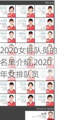 2020女排队员的名单介绍,2020年女排队员