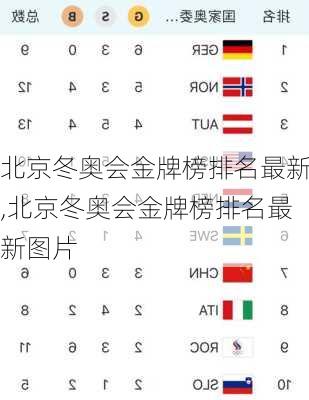 北京冬奥会金牌榜排名最新,北京冬奥会金牌榜排名最新图片