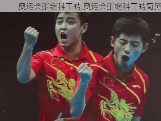 奥运会张继科王皓,奥运会张继科王皓简历