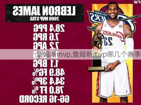 詹姆斯mvp,詹姆斯mvp哪几个赛季