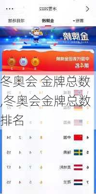 冬奥会 金牌总数,冬奥会金牌总数排名