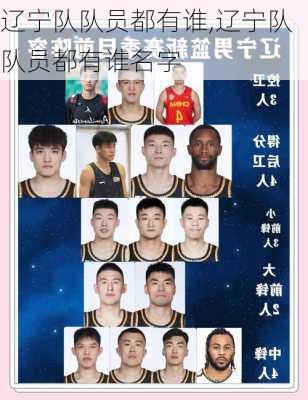 辽宁队队员都有谁,辽宁队队员都有谁名字