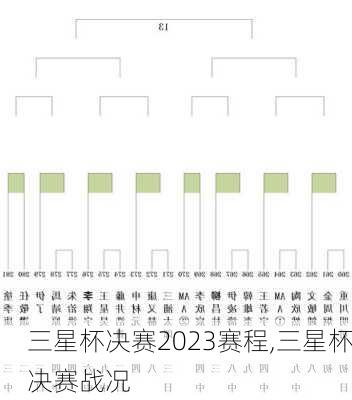 三星杯决赛2023赛程,三星杯决赛战况