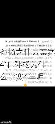孙杨为什么禁赛4年,孙杨为什么禁赛4年呢