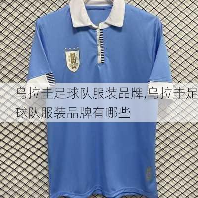 乌拉圭足球队服装品牌,乌拉圭足球队服装品牌有哪些