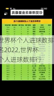 世界杯个人进球数排名2022,世界杯个人进球数排行
