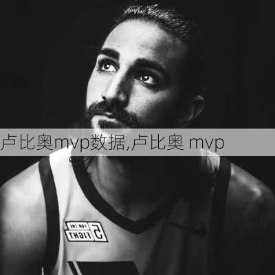 卢比奥mvp数据,卢比奥 mvp