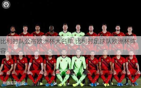 比利时队公布欧洲杯大名单,比利时足球队欧洲杯阵容