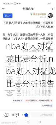 nba湖人对猛龙比赛分析,nba湖人对猛龙比赛分析报告