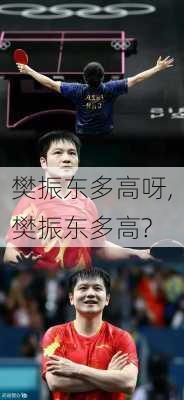 樊振东多高呀,樊振东多高?
