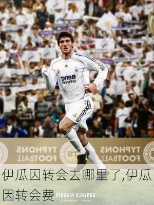 伊瓜因转会去哪里了,伊瓜因转会费