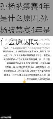 孙杨被禁赛4年是什么原因,孙杨被禁赛4年是什么原因呢