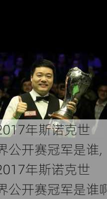 2017年斯诺克世界公开赛冠军是谁,2017年斯诺克世界公开赛冠军是谁啊