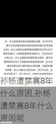 孙杨遭禁赛8年什么原因,孙杨遭禁赛8年什么原因呢