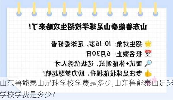 山东鲁能泰山足球学校学费是多少,山东鲁能泰山足球学校学费是多少?