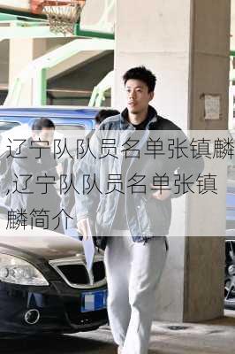 辽宁队队员名单张镇麟,辽宁队队员名单张镇麟简介