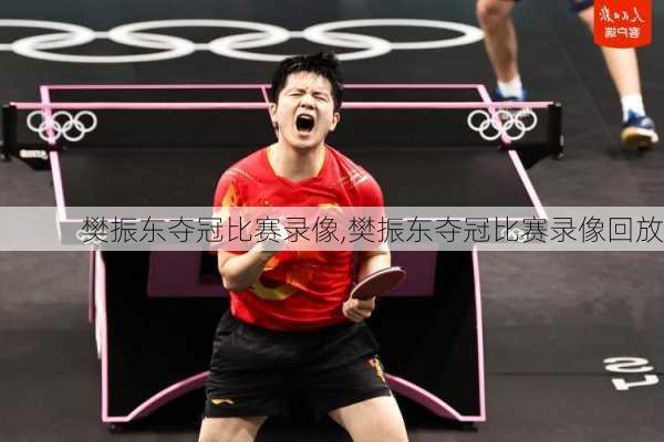 樊振东夺冠比赛录像,樊振东夺冠比赛录像回放