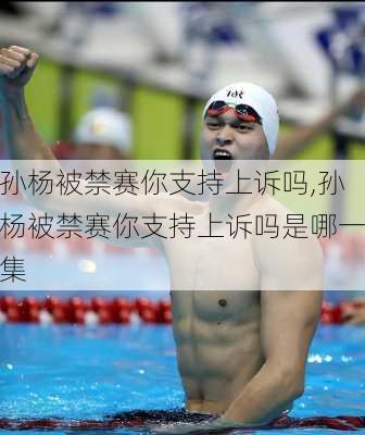 孙杨被禁赛你支持上诉吗,孙杨被禁赛你支持上诉吗是哪一集