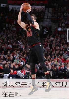 科沃尔去哪了,科沃尔现在在哪