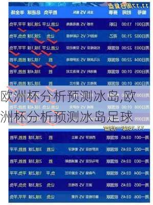 欧洲杯分析预测冰岛,欧洲杯分析预测冰岛足球