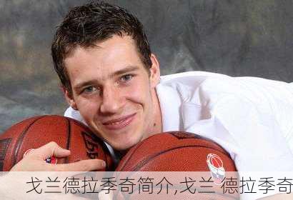 戈兰德拉季奇简介,戈兰 德拉季奇