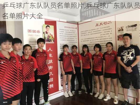 乒乓球广东队队员名单照片,乒乓球广东队队员名单照片大全