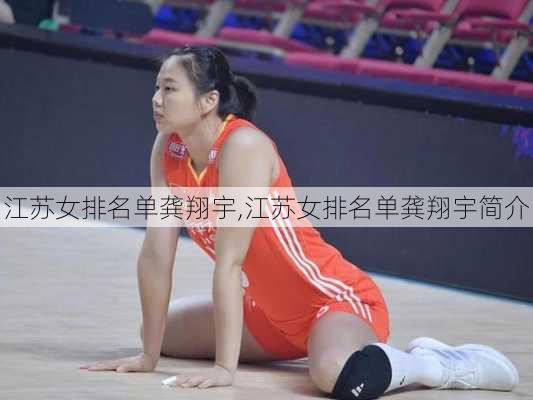 江苏女排名单龚翔宇,江苏女排名单龚翔宇简介