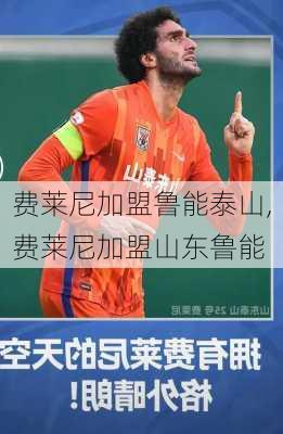 费莱尼加盟鲁能泰山,费莱尼加盟山东鲁能
