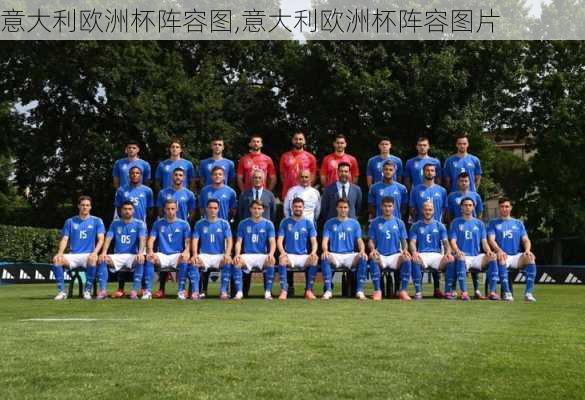 意大利欧洲杯阵容图,意大利欧洲杯阵容图片