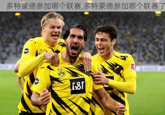 多特蒙德参加哪个联赛,多特蒙德参加哪个联赛了
