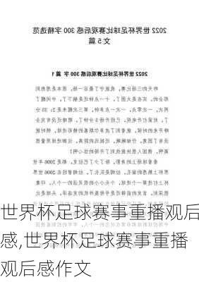 世界杯足球赛事重播观后感,世界杯足球赛事重播观后感作文