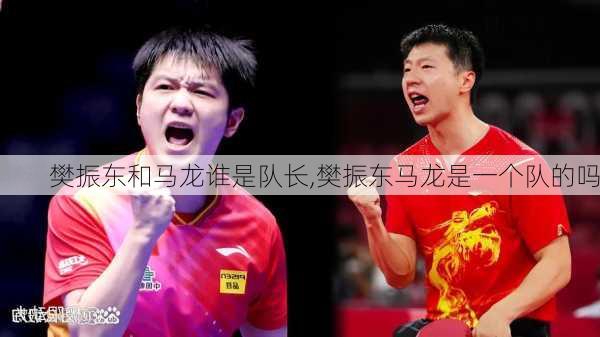 樊振东和马龙谁是队长,樊振东马龙是一个队的吗