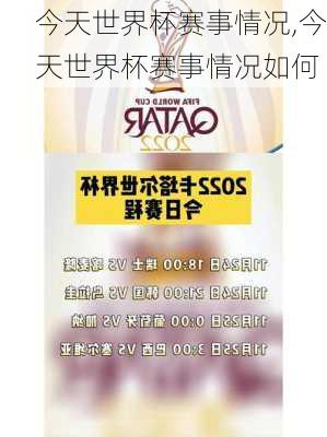 今天世界杯赛事情况,今天世界杯赛事情况如何