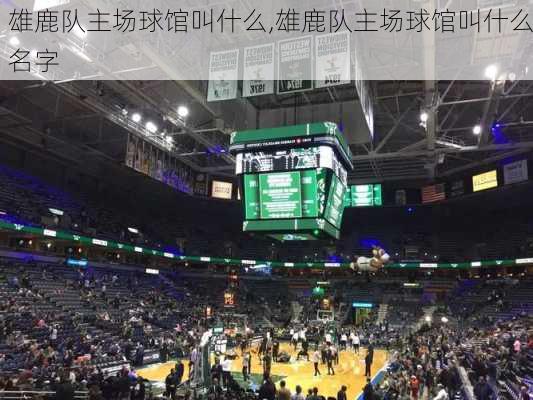 雄鹿队主场球馆叫什么,雄鹿队主场球馆叫什么名字