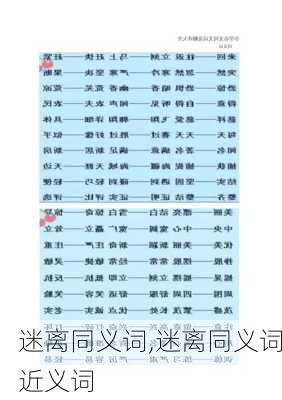 迷离同义词,迷离同义词近义词