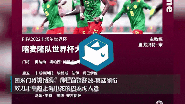 喀麦隆世界杯阵容2022最新,喀麦隆世界杯阵容2022最新消息