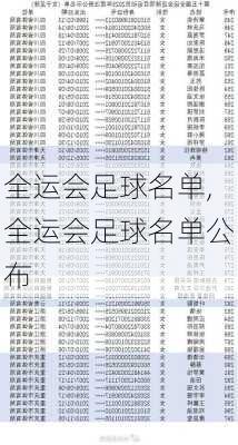 全运会足球名单,全运会足球名单公布