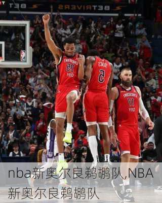 nba新奥尔良鹈鹕队,NBA新奥尔良鹈鹕队
