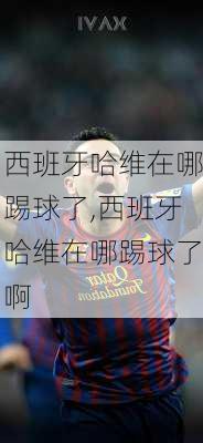 西班牙哈维在哪踢球了,西班牙哈维在哪踢球了啊