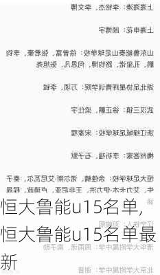 恒大鲁能u15名单,恒大鲁能u15名单最新