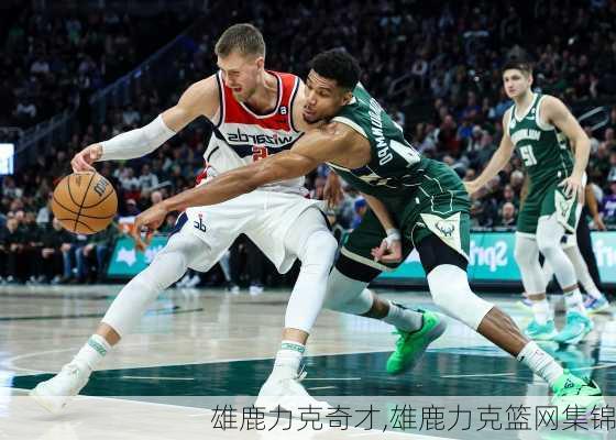 雄鹿力克奇才,雄鹿力克篮网集锦