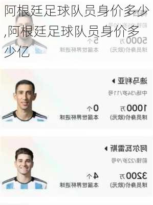 阿根廷足球队员身价多少,阿根廷足球队员身价多少亿
