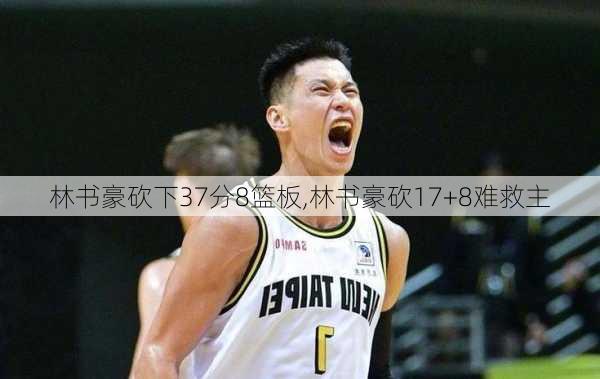 林书豪砍下37分8篮板,林书豪砍17+8难救主