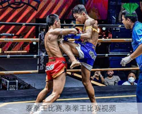 泰拳王比赛,泰拳王比赛视频