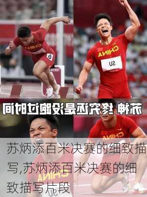 苏炳添百米决赛的细致描写,苏炳添百米决赛的细致描写片段