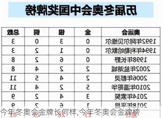 今年冬奥会金牌长何样,今年冬奥会金牌榜